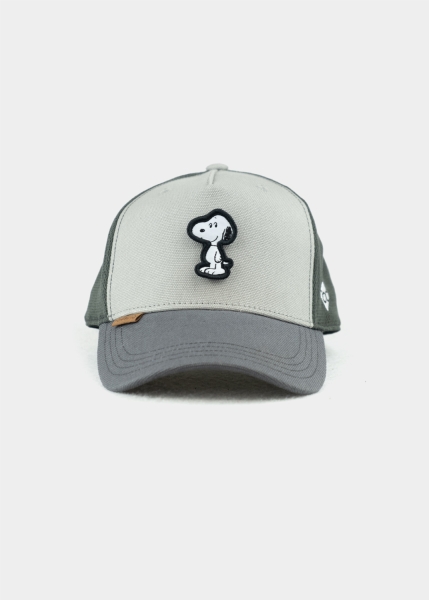 Cap "Peanuts Transformer" - grau (Curved)